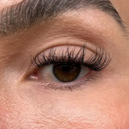 Bliss - Pre Glued Lashes