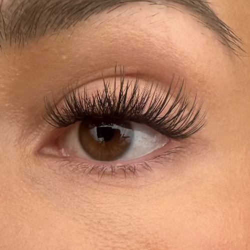 Allnighter - Pre Glued Lashes