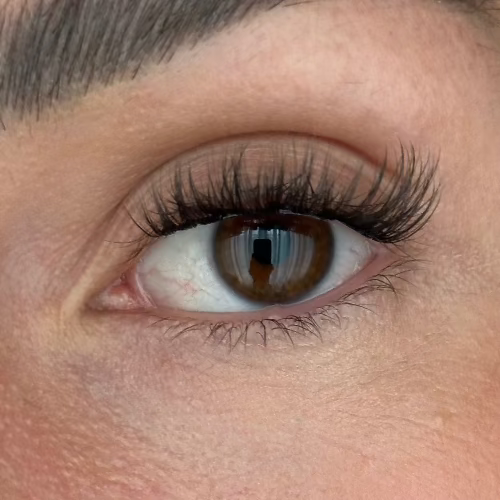 Velvet - Pre Glued Lashes