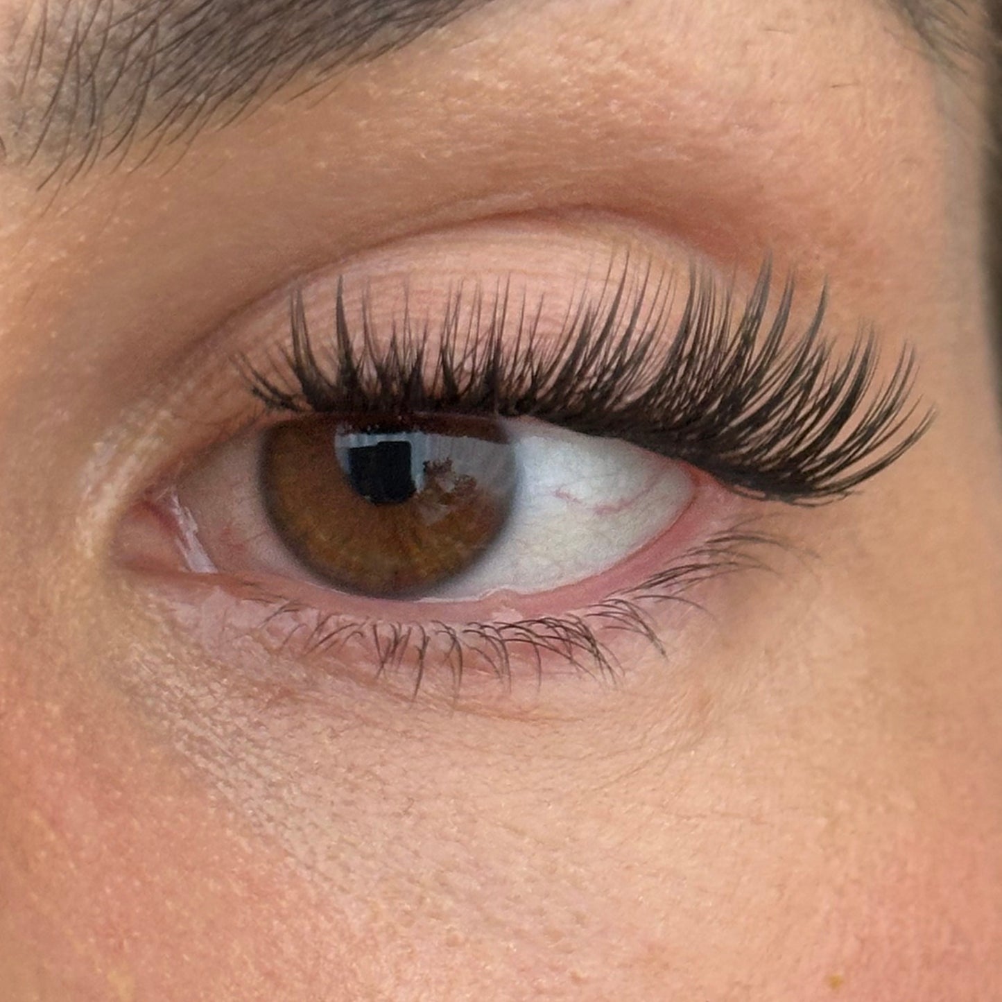 Classic - DIY Lash Extensions