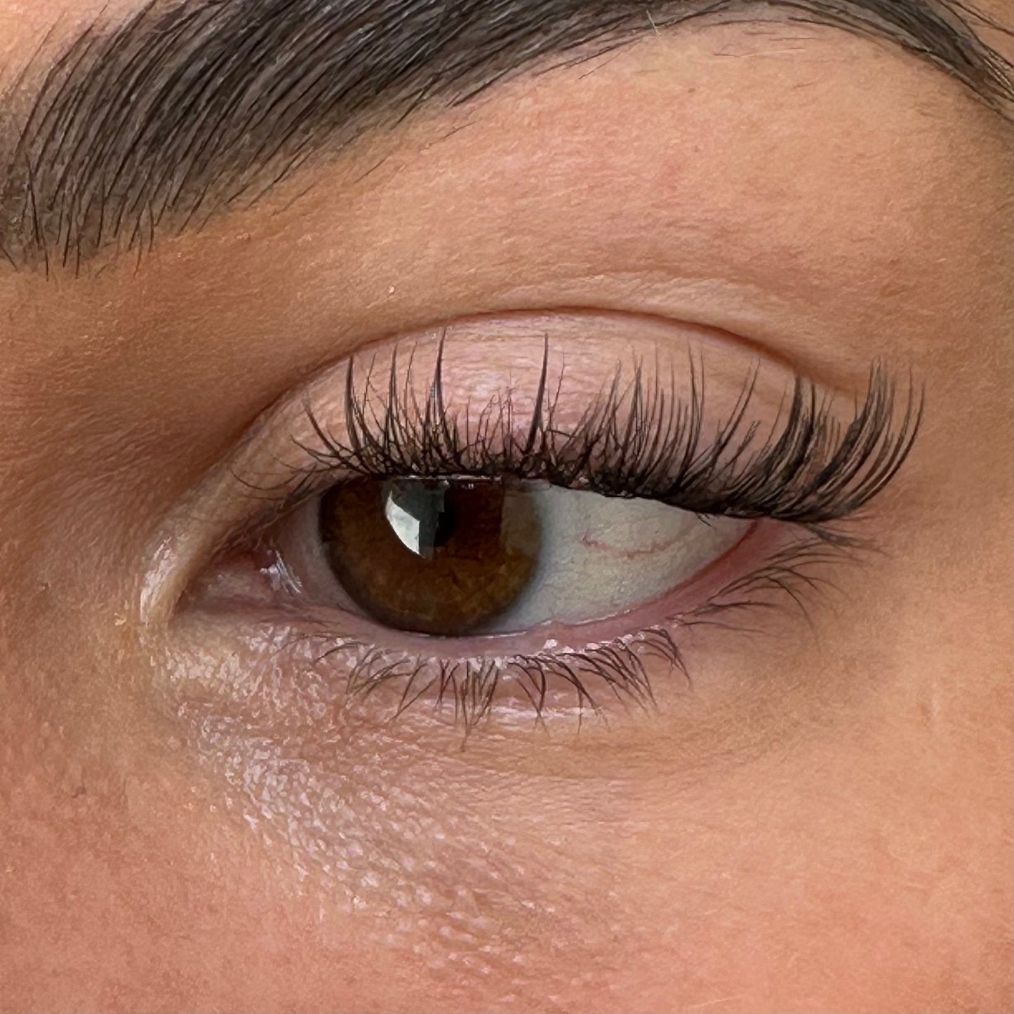 Heaven - Pre Glued Lashes
