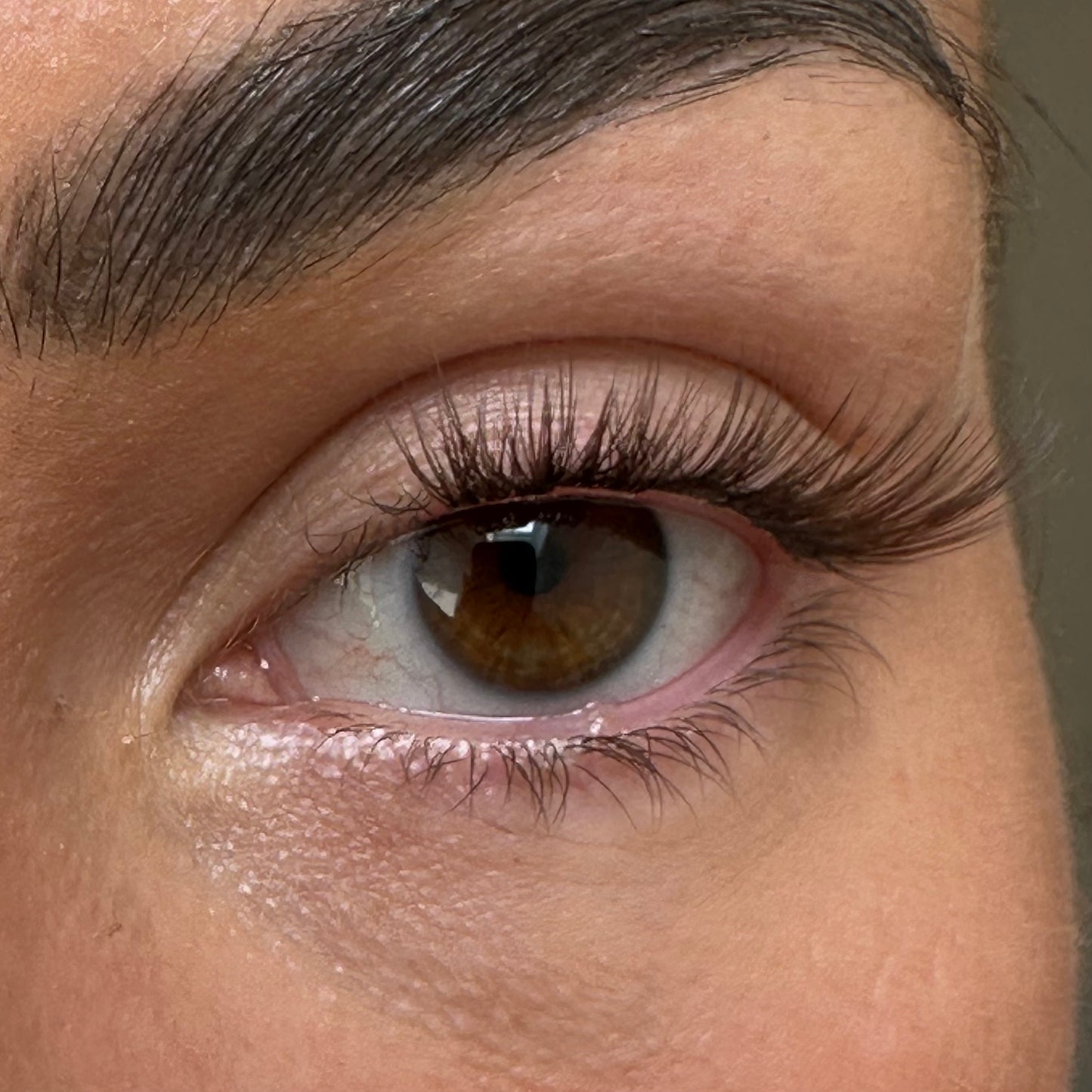 Classic *Brown* - Pre Glued Lashes