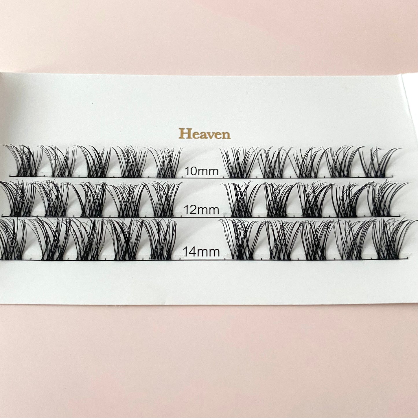 Heaven - Lash Segmente