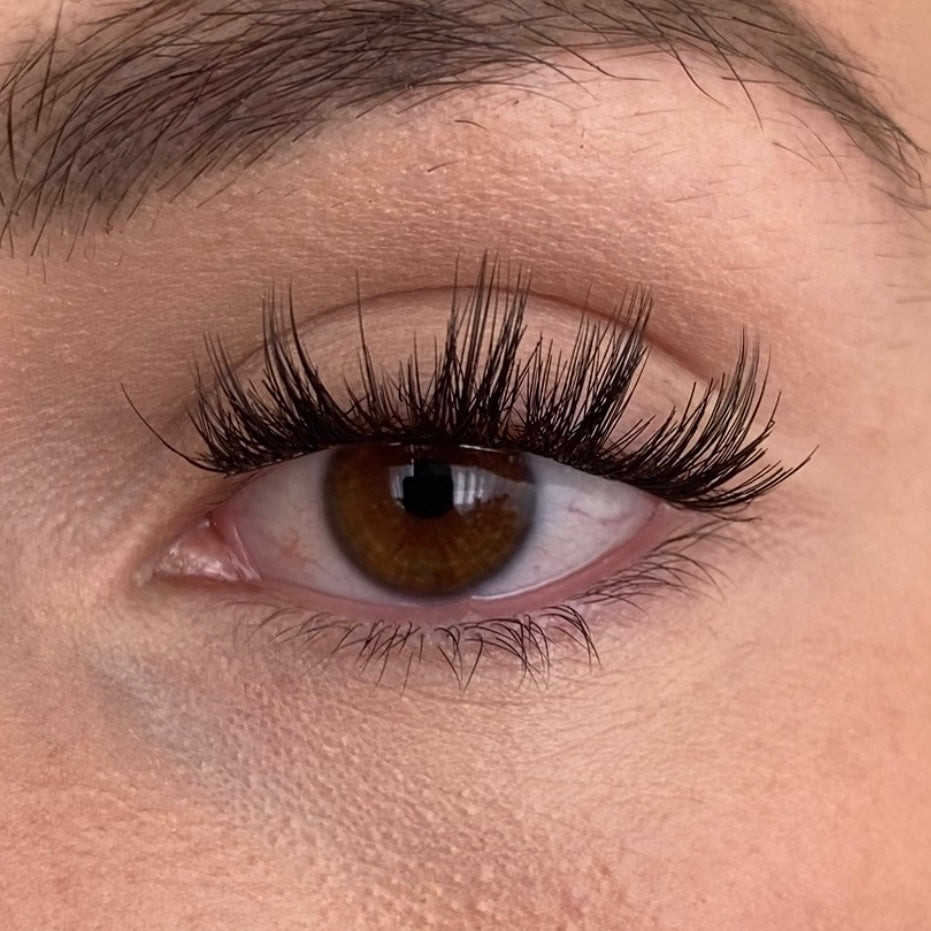 Starlight - DIY Lash Extensions